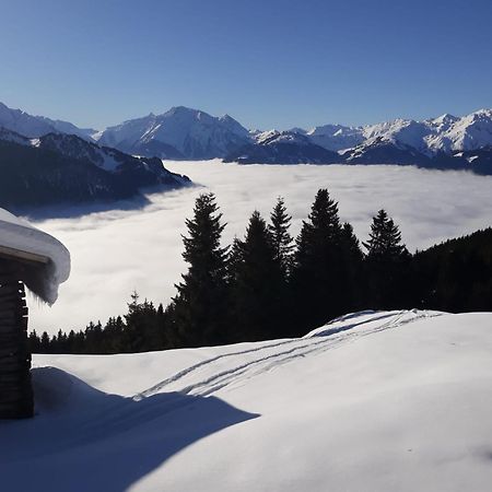 Haus Viktoria Mayrhofen Exterior foto