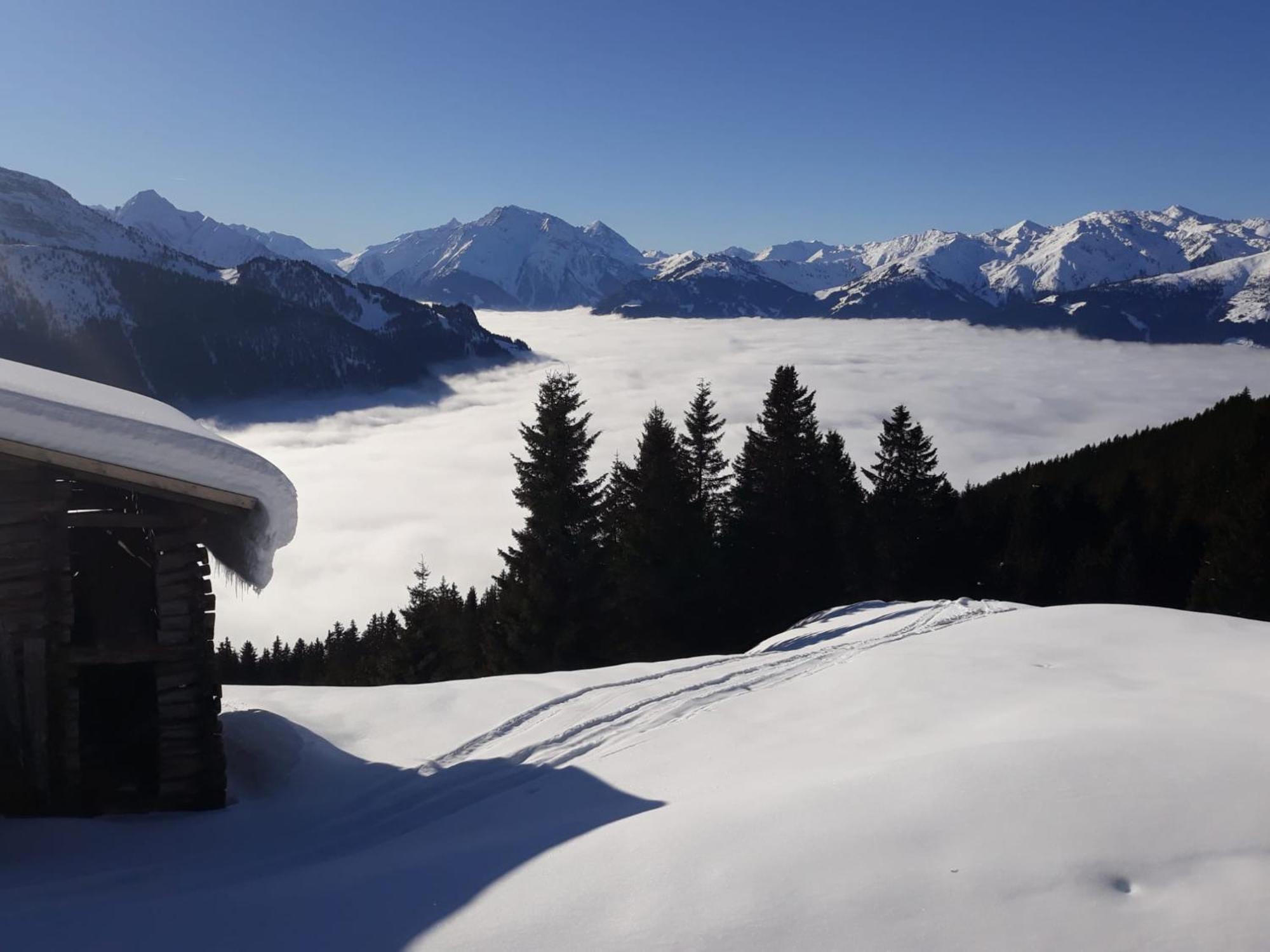 Haus Viktoria Mayrhofen Exterior foto
